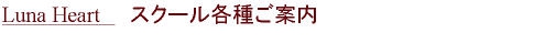 名古屋スピリチュアルヒーリングサロン ルナハートとは