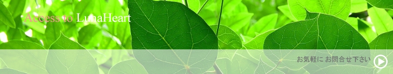 名古屋スピリチュアルヒーリングサロン ルナハートのアクセスマップのページです。