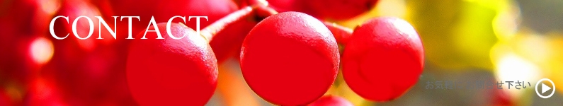 名古屋スピリチュアルヒーリングサロン ルナハートへのお問合せ・ご予約のページです。