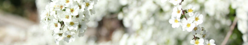 バンコク*名古屋スピリチュアルヒーリングサロン ルナハートのおやつブログです。