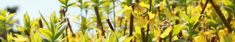 バンコク*名古屋スピリチュアルヒーリングサロン ルナハートのおやつブログです。