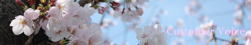 バンコク/名古屋スピリチュアルヒーリングサロン ルナハートの雑誌掲載履歴です。