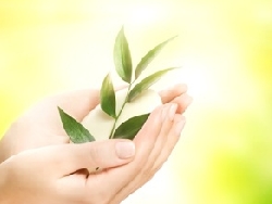 名古屋・バンコクスピリチュアルヒーリングサロン ルナハートのカウンセリング(前世鑑定・守護霊鑑定・霊視・その他カウンセリング)のご紹介