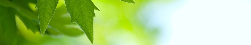 名古屋 スピリチュアル カウンセリング ルナハート