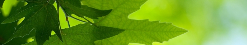 名古屋 小顔 エステ ルナハート