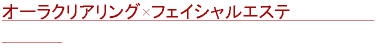 名古屋スピリチュアルヒーリングサロン ルナハートのフェイシャルセラピー