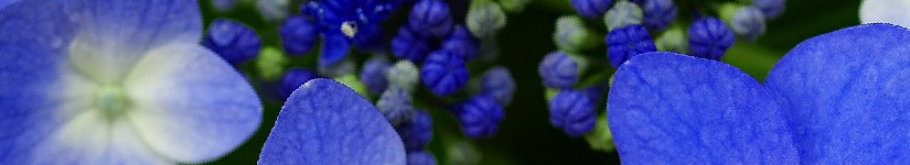 名古屋 パワーストーン ルナハート スピリチュアル