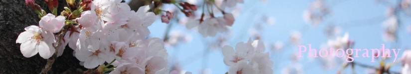 バンコク/名古屋スピリチュアルヒーリングサロン ルナハートの雑誌掲載履歴です。